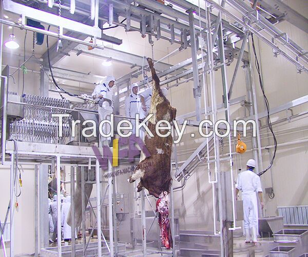 Flow automatic cattle sloughter bleeding conveyor for cattle processing equipment