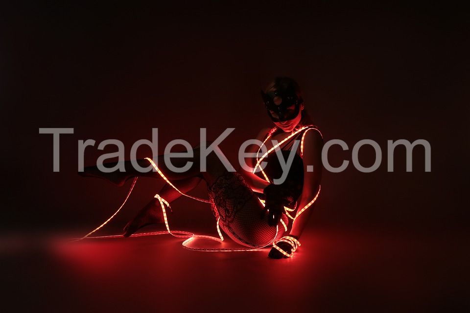 led strip,tape,rope,ribbon light suppliers