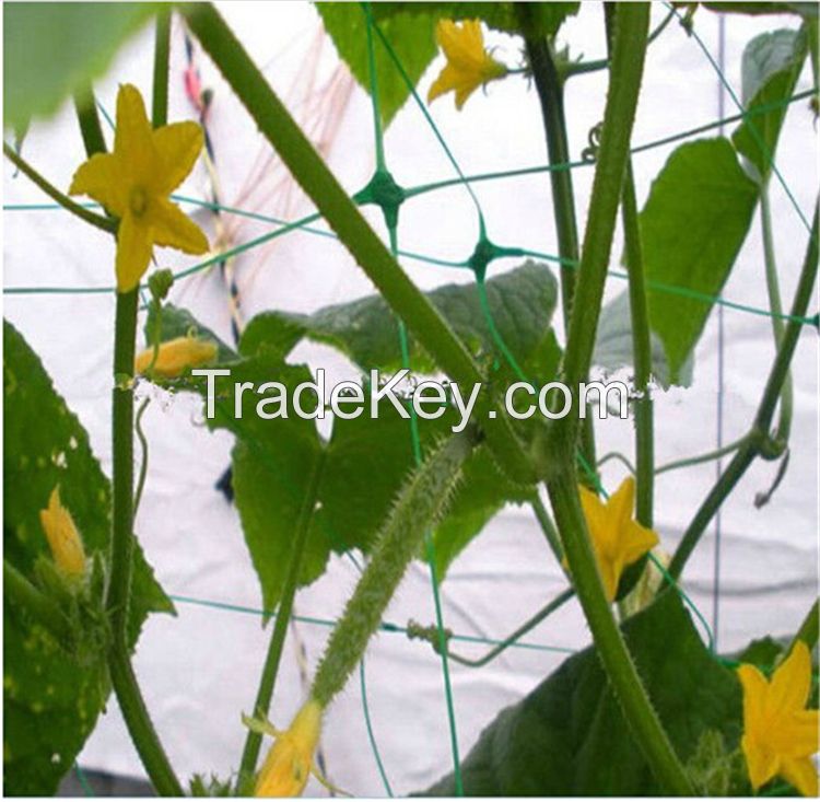 Heavy Duty Garden Trellis Netting for Cucumber