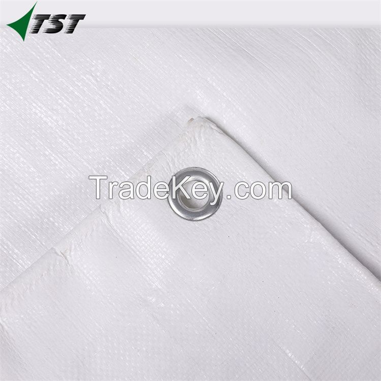PE tarp plastic sheet cover waterproof canvas