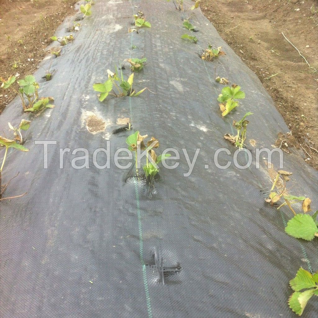 Garden Weed Barrier Fabric Agriculture Anti Weed Mat