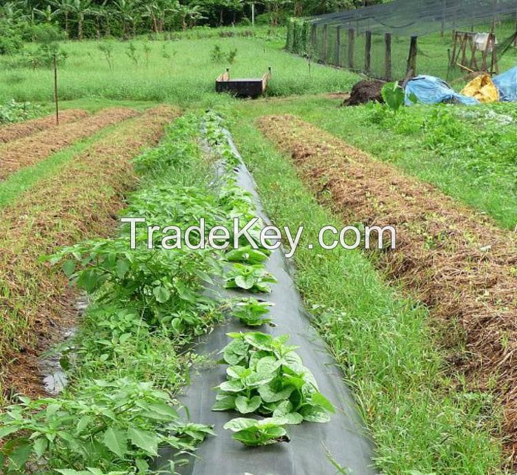 Agriculture Weed Mat Control Ground Cover