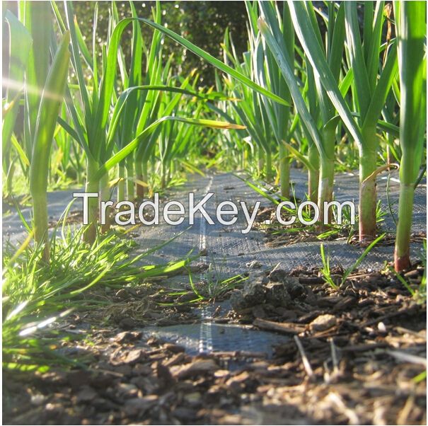Garden Landscape Weed Control Mat Agriculture Weed Control