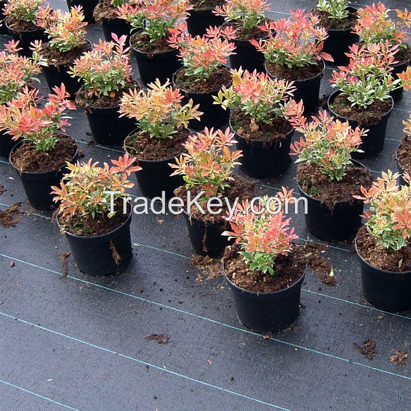 Woven Needle Punched Weed Barrier Garden Landscape