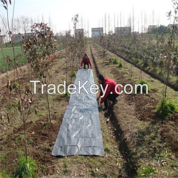 Agriculture Weed Mat Control Ground Cover