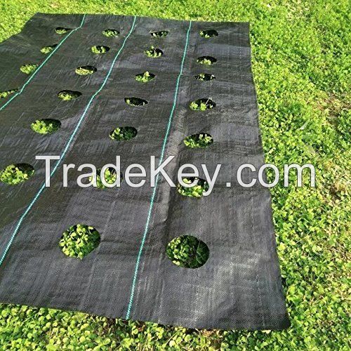 Ground Cover Anti-Grass Mesh Weed Barrier Landscap