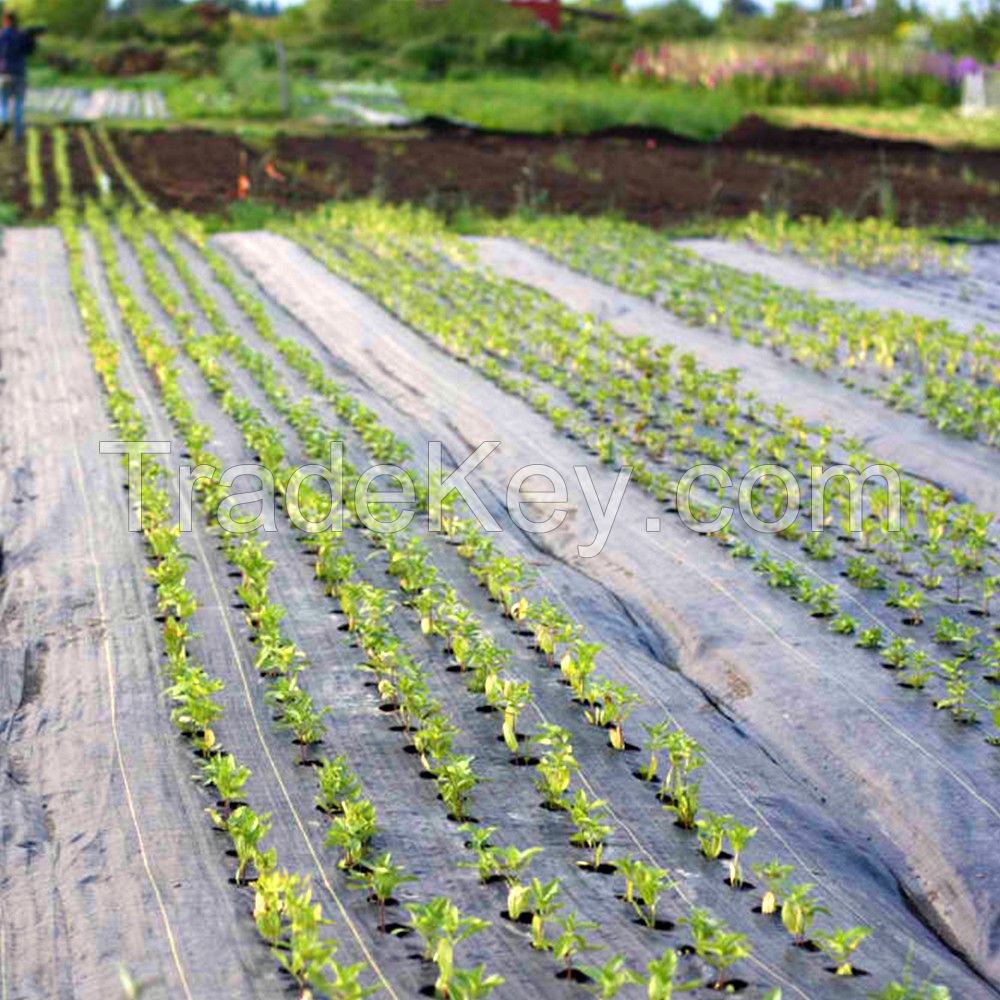 Weed Mat Landscape Fabric PP Woven Anti Weed Control