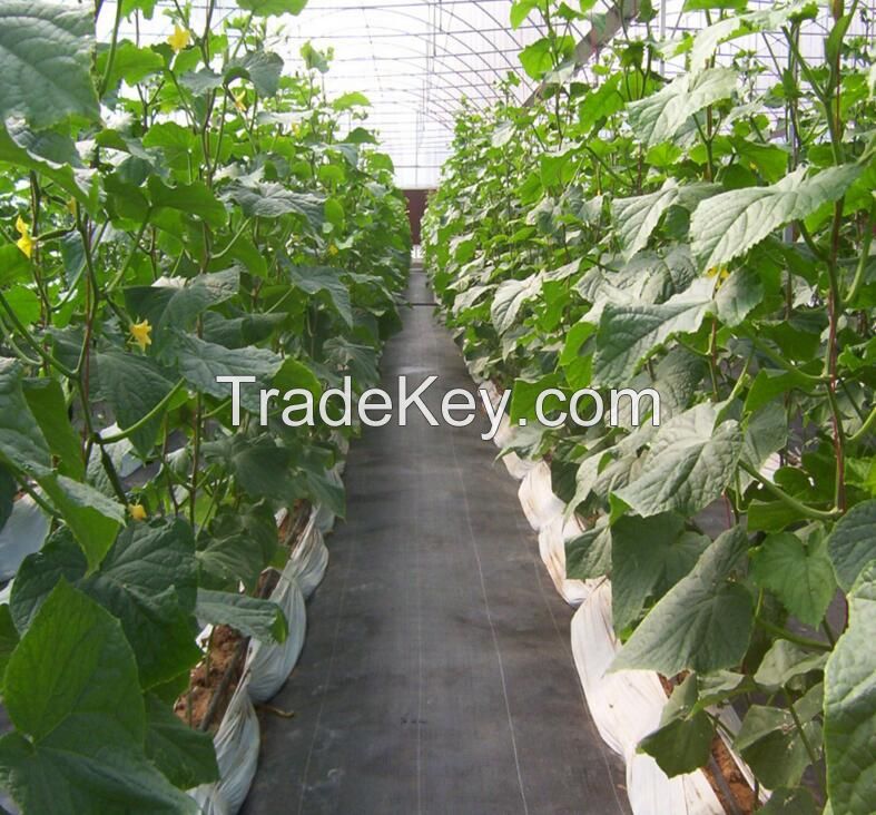 Landscape Anti Weed Fabric Greenhouse Weed Barrier White Wide