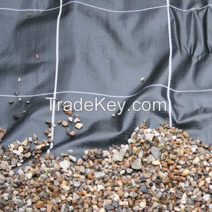 Plastic Pp Water Control/ Ground Cover /Weed Mat