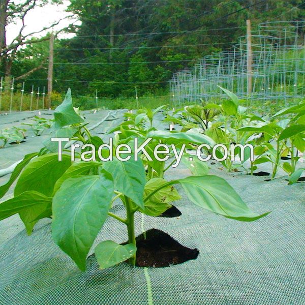 Heavy Duty Ground Weed Cover Mat PP Black Weed Mat