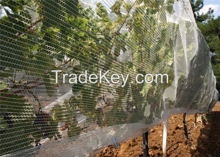 HDPE Anti Hail Net for Fruit Cars Protection