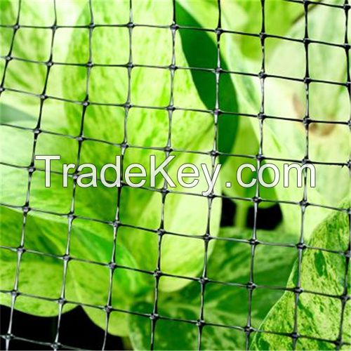 HDPE green bird net for garden