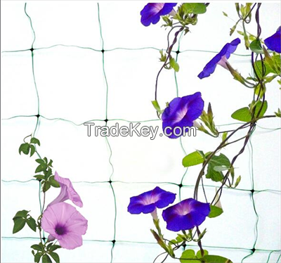 Plants support net Trellis Net for flowers