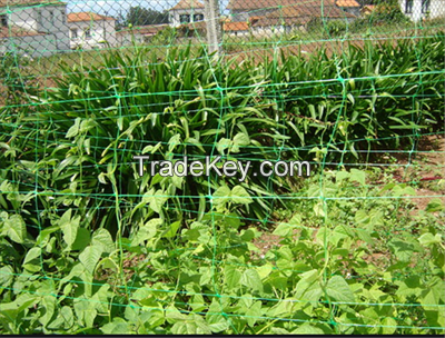 Agriculture vegetable plants support net