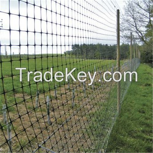 Orchard Tree Bird Protection Net