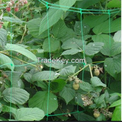 Plastic Climbing Bean Plant Nets