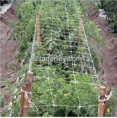 Plastic Cucumber Support Trellis Net
