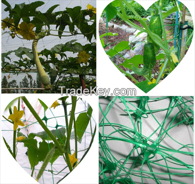 Trellis Net Climbing Plants Supporting Net