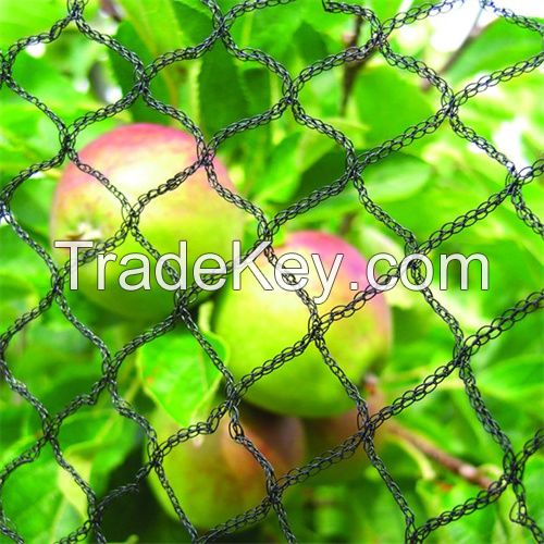 Grape Net Orchards Anti Bird Netting