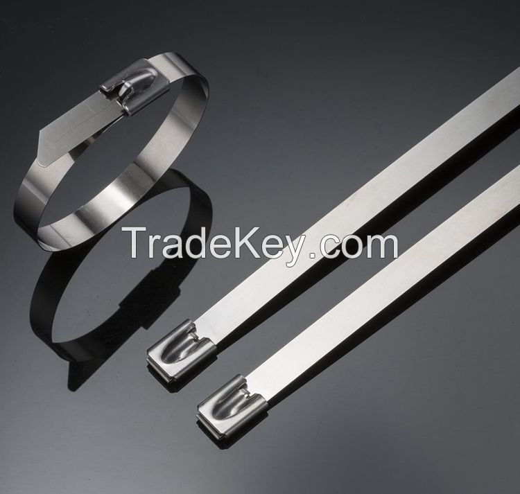 stainless steel cable tie 304/316