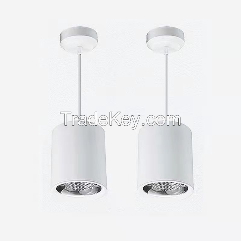 Surface mounted LED downlight