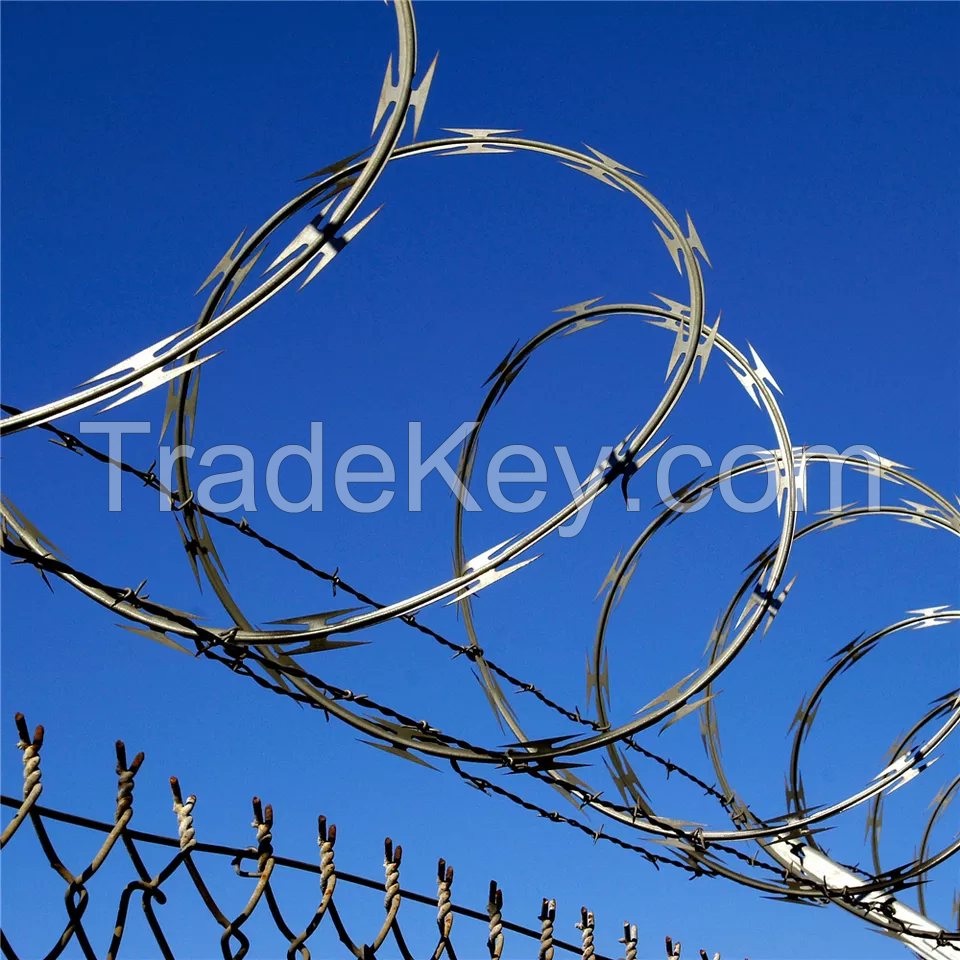 China razor barbed wire best price