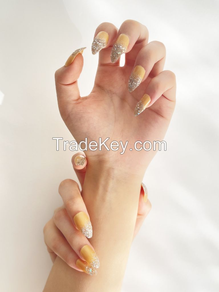 French Glitter Stiletto Shape Nails