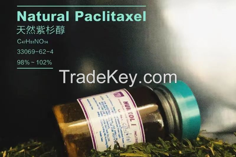 Natural Paclitaxel APIs CAS 33069-62-4 98%-102% EP USP CP antitumor pharmaceutical