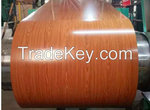 Galvanized Color Coated Steel Coil
