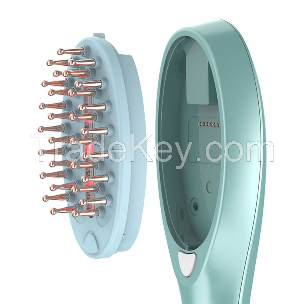 NEW ARRIVAL Beauty personal care RF hair care massage brush