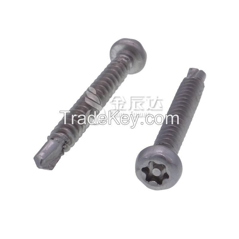 Stainless Steel Five Lobe Torx Security Screws