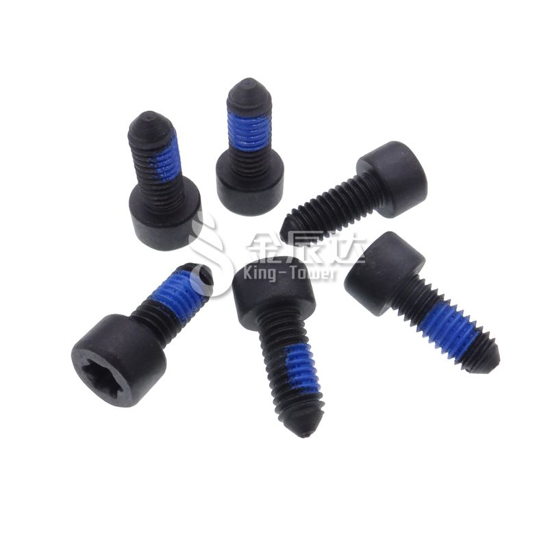 CSK Torx Plus Thread Locking Screw