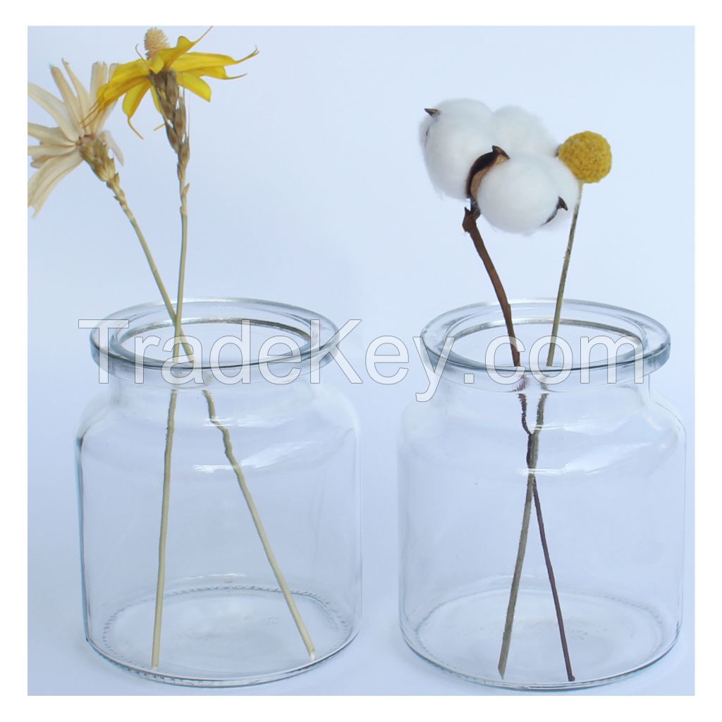 1 Pcs Small Vases for Flowers Glass Bud Vase for Home Decor