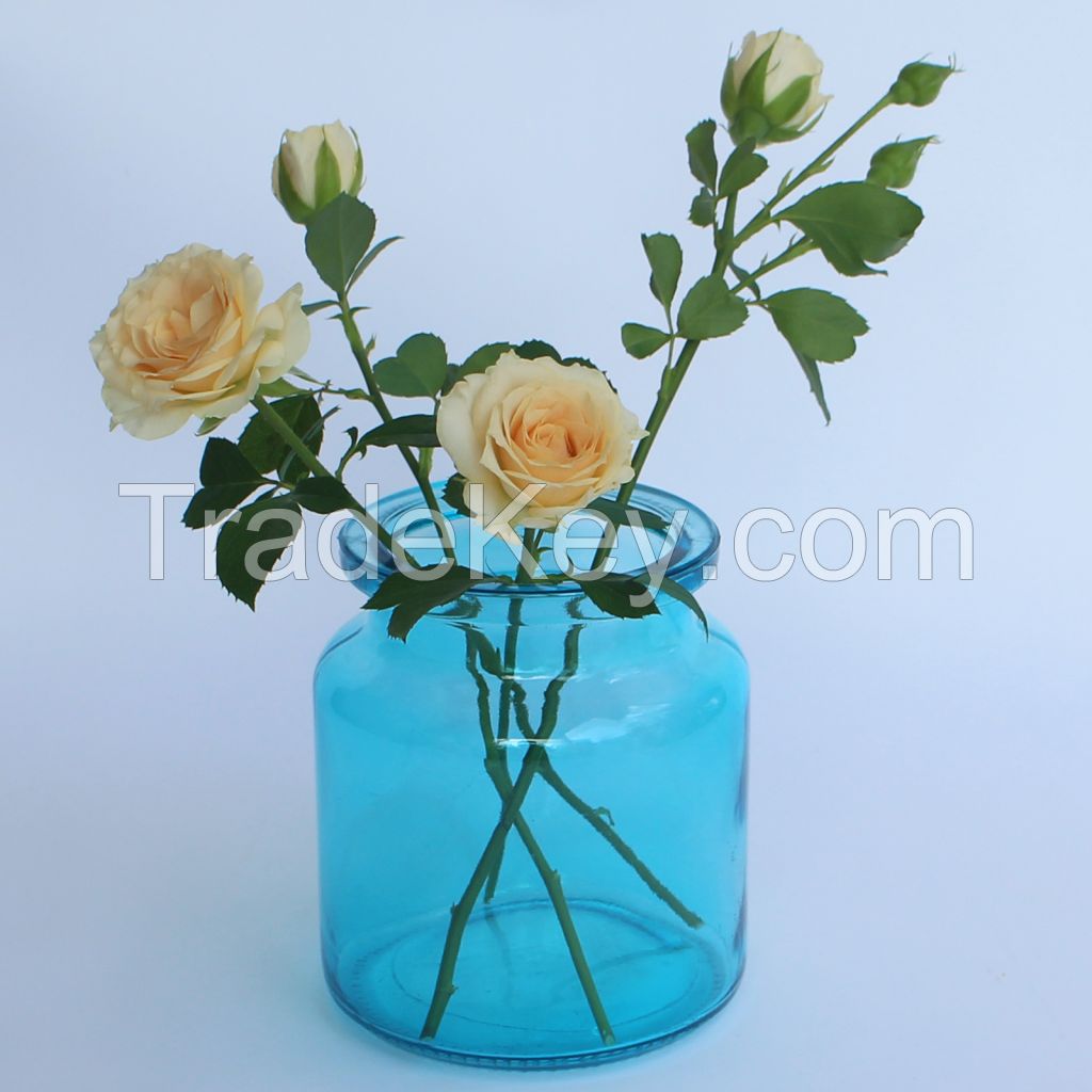  1 Pcs Glass Bud Vase for Home Decor, Small Vases for Flowers