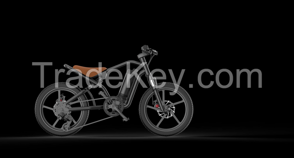 Electric motorcycle