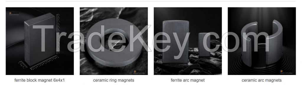 Ferrite Ceramic Magnets  