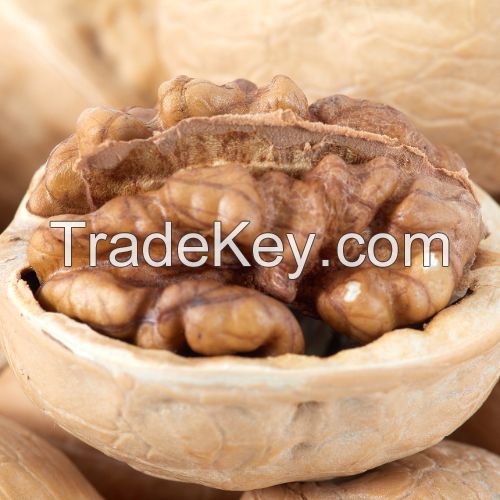 Most Popular Organic Walnuts With Shell Chinese North High Quality Wal