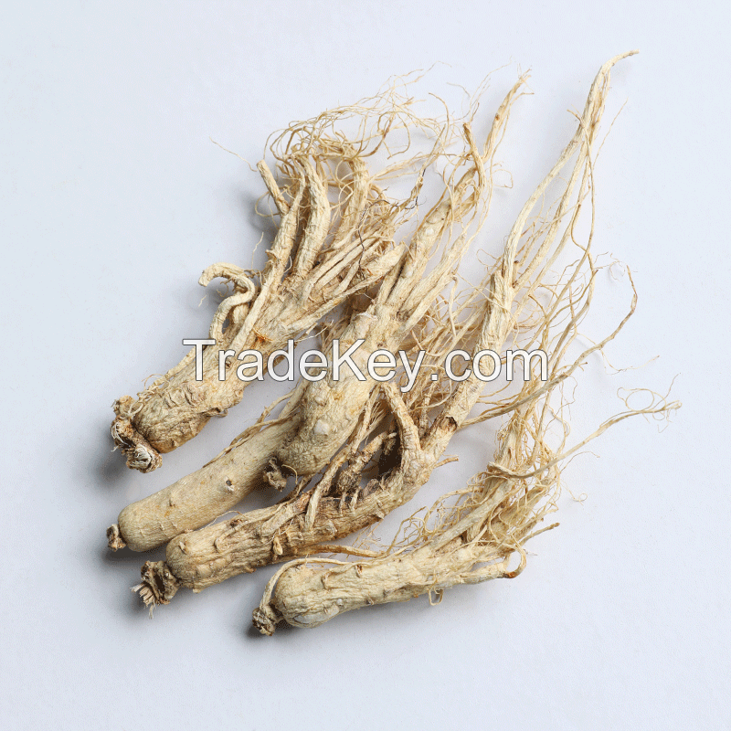 traditional medicine ginseng nourish bright ginseng