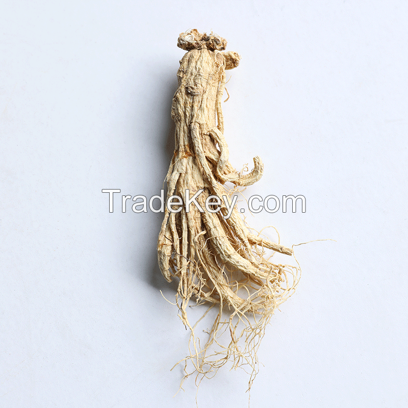 traditional medicine ginseng nourish bright ginseng