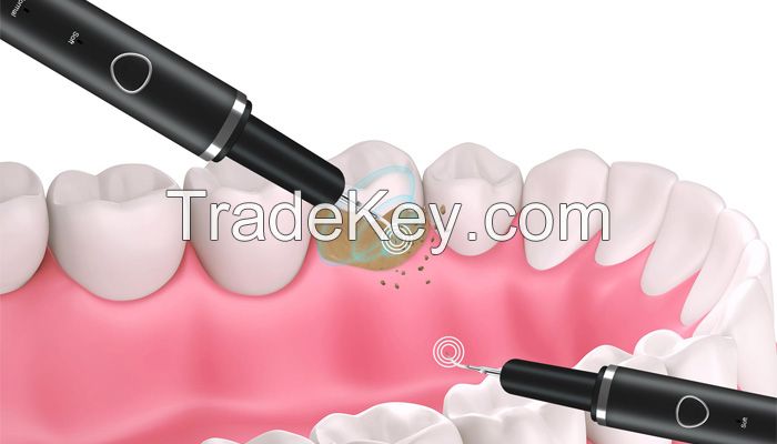 Dental Calculus Remover (Ultrasonic Scaler)