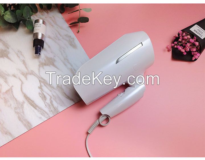 Legero Water ion hair dryer hair care constant temperature household high power hair dryer