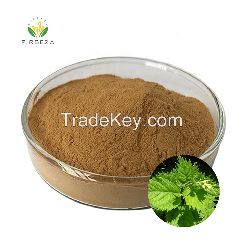 10:1 Stinging Nettle Root Extract Powder
