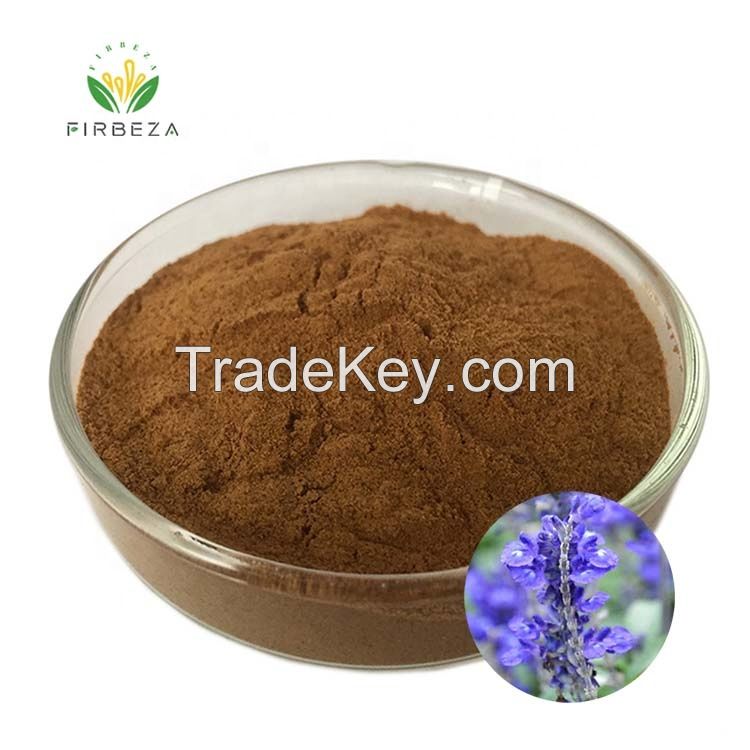 Organic Ajuga Turkestanica Extract Private Label 10% Turkesterone Powder