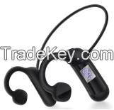 Bluetooth Headset/Wireless Headset/TWS Headset/Earphone