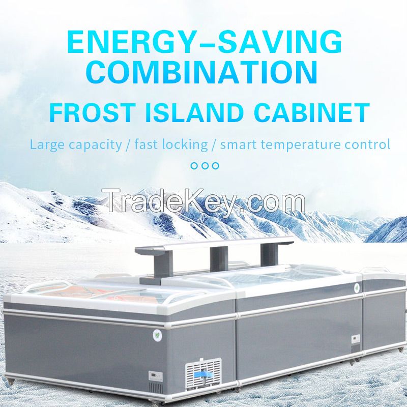 Automatic frost combination freezer BD-2.1m