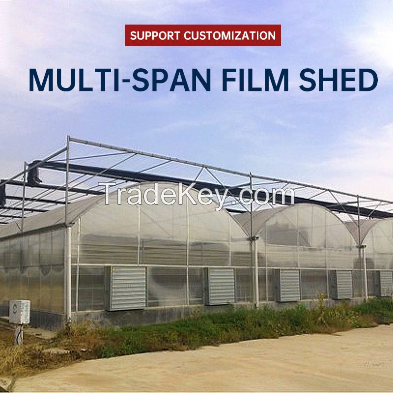 JC-SLWS-L02 Multi-span film shed
