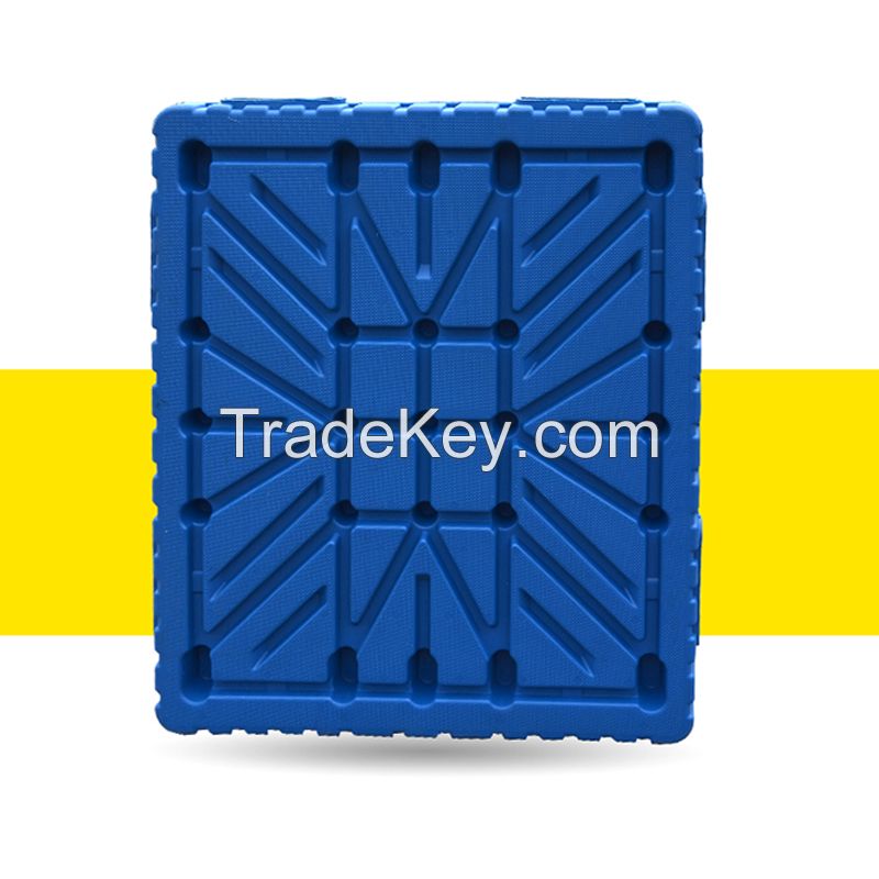Double sided tray - hollow blow molding tray