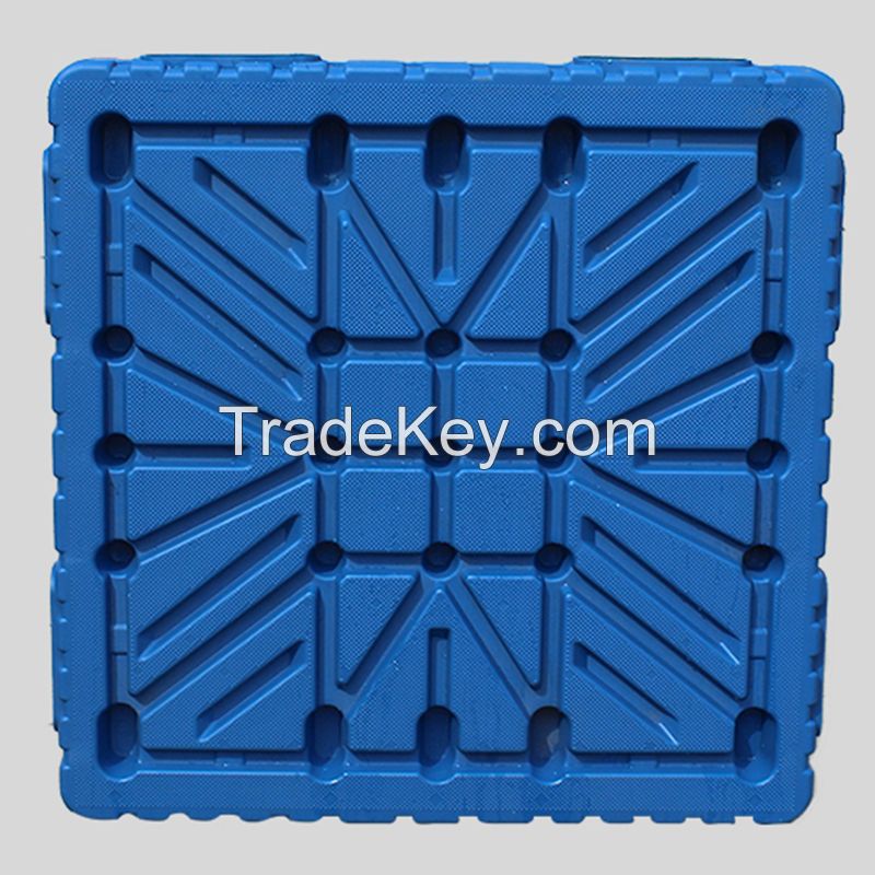 Double sided tray - hollow blow molding tray