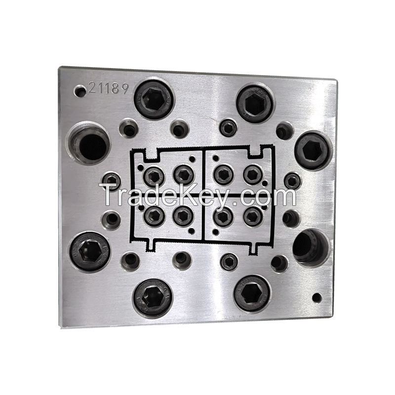 Plastic steel mould 2 (customized product)