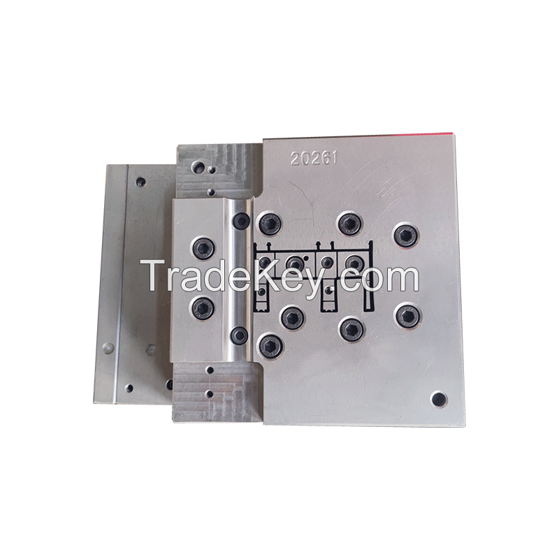 Plastic steel mould 2 (customized product)